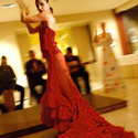 Flamenco y música española Marbella